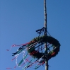 Jubiläums-Sommerfest 2008