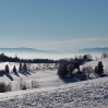 Vogesen 2006